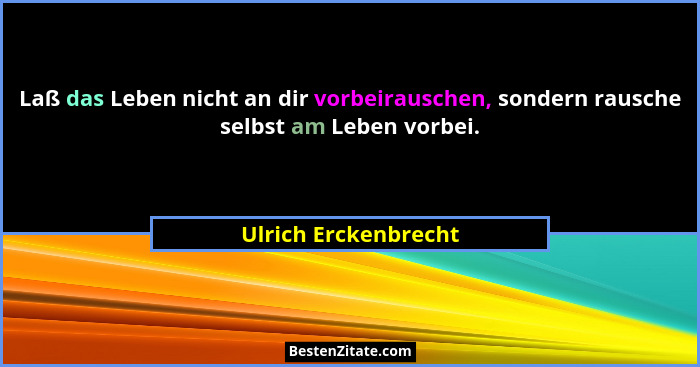Laß das Leben nicht an dir vorbeirauschen, sondern rausche selbst am Leben vorbei.... - Ulrich Erckenbrecht