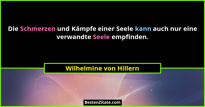 Die Schmerzen und Kämpfe einer Seele kann auch nur eine verwandte Seele empfinden.... - Wilhelmine von Hillern