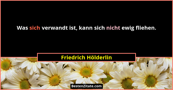 Was sich verwandt ist, kann sich nicht ewig fliehen.... - Friedrich Hölderlin