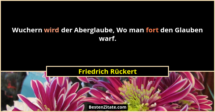 Wuchern wird der Aberglaube, Wo man fort den Glauben warf.... - Friedrich Rückert