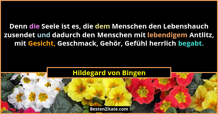 Denn die Seele ist es, die dem Menschen den Lebenshauch zusendet und dadurch den Menschen mit lebendigem Antlitz, mit Gesicht,... - Hildegard von Bingen