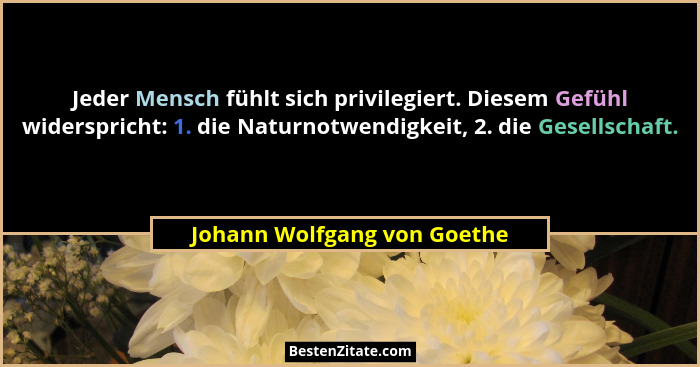 Jeder Mensch fühlt sich privilegiert. Diesem Gefühl widerspricht: 1. die Naturnotwendigkeit, 2. die Gesellschaft.... - Johann Wolfgang von Goethe