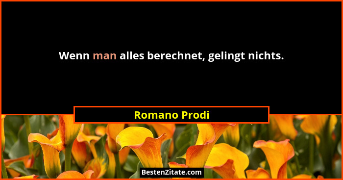 Wenn man alles berechnet, gelingt nichts.... - Romano Prodi