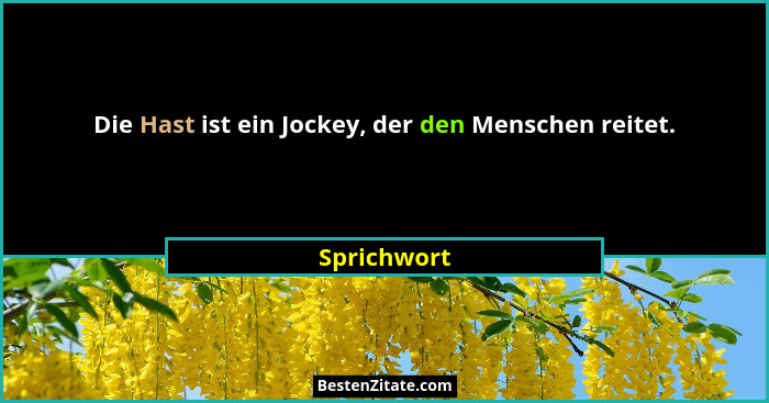Die Hast ist ein Jockey, der den Menschen reitet.... - Sprichwort