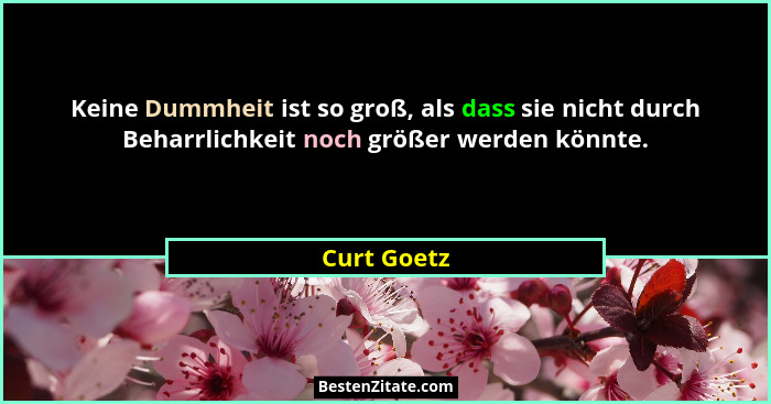 Keine Dummheit ist so groß, als dass sie nicht durch Beharrlichkeit noch größer werden könnte.... - Curt Goetz