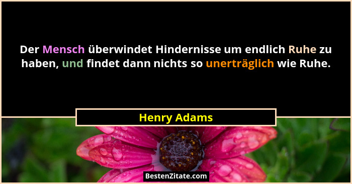 Der Mensch überwindet Hindernisse um endlich Ruhe zu haben, und findet dann nichts so unerträglich wie Ruhe.... - Henry Adams