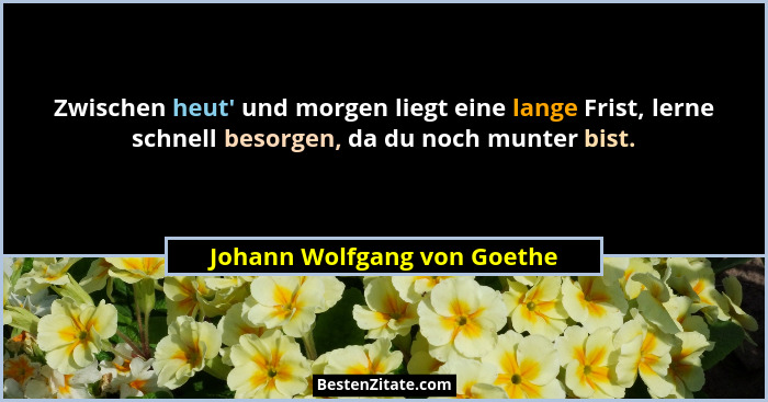 Zwischen heut' und morgen liegt eine lange Frist, lerne schnell besorgen, da du noch munter bist.... - Johann Wolfgang von Goethe