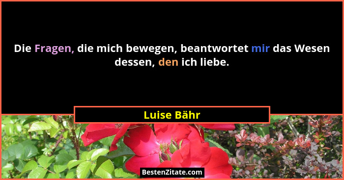 Die Fragen, die mich bewegen, beantwortet mir das Wesen dessen, den ich liebe.... - Luise Bähr