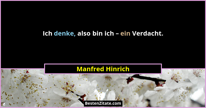 Ich denke, also bin ich – ein Verdacht.... - Manfred Hinrich