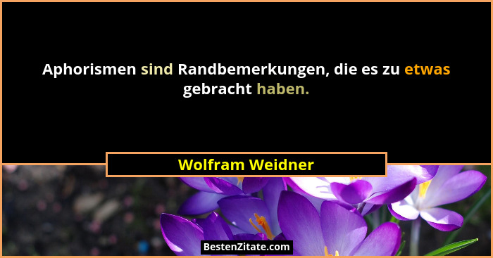 Aphorismen sind Randbemerkungen, die es zu etwas gebracht haben.... - Wolfram Weidner