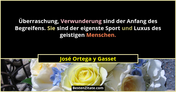 Überraschung, Verwunderung sind der Anfang des Begreifens. Sie sind der eigenste Sport und Luxus des geistigen Menschen.... - José Ortega y Gasset