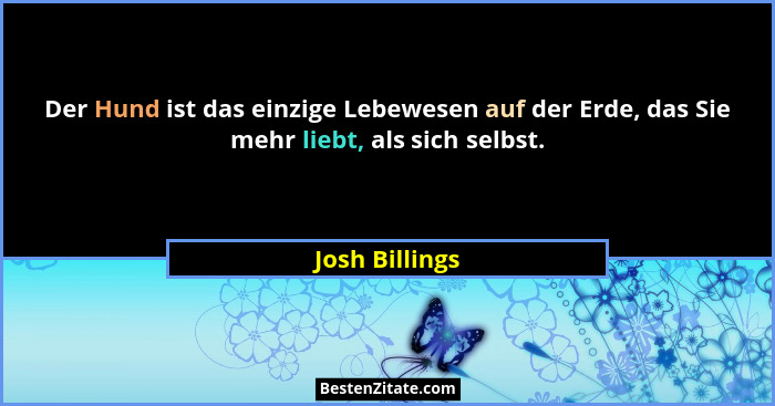 Der Hund ist das einzige Lebewesen auf der Erde, das Sie mehr liebt, als sich selbst.... - Josh Billings