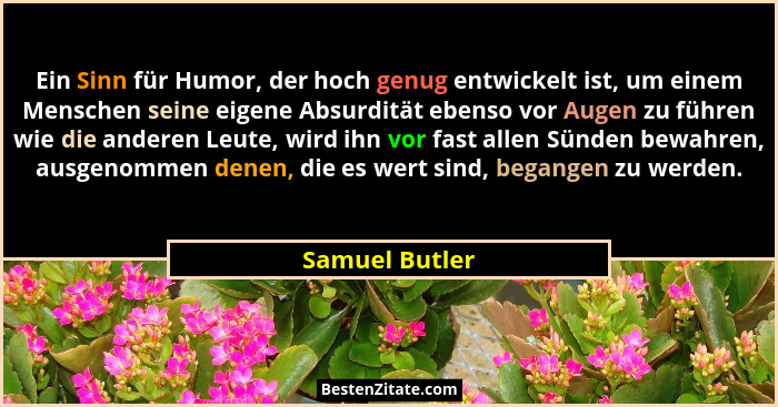 Ein Sinn für Humor, der hoch genug entwickelt ist, um einem Menschen seine eigene Absurdität ebenso vor Augen zu führen wie die andere... - Samuel Butler