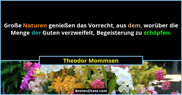 Große Naturen genießen das Vorrecht, aus dem, worüber die Menge der Guten verzweifelt, Begeisterung zu schöpfen.... - Theodor Mommsen
