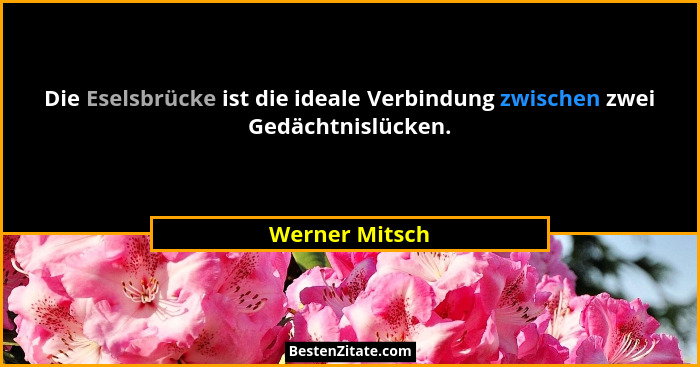 Die Eselsbrücke ist die ideale Verbindung zwischen zwei Gedächtnislücken.... - Werner Mitsch