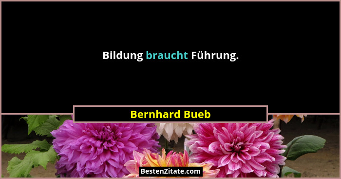 Bildung braucht Führung.... - Bernhard Bueb