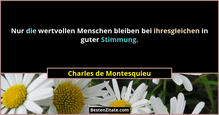 Nur die wertvollen Menschen bleiben bei ihresgleichen in guter Stimmung.... - Charles de Montesquieu