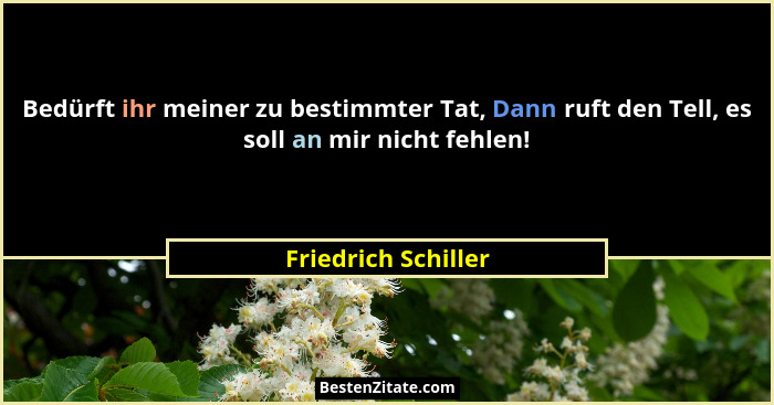 Bedürft ihr meiner zu bestimmter Tat, Dann ruft den Tell, es soll an mir nicht fehlen!... - Friedrich Schiller