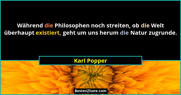 Während die Philosophen noch streiten, ob die Welt überhaupt existiert, geht um uns herum die Natur zugrunde.... - Karl Popper