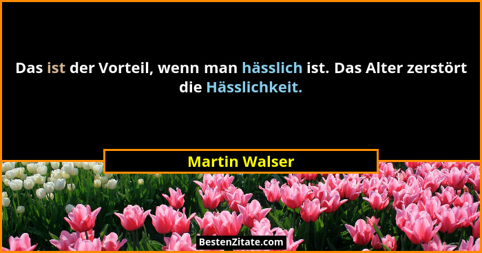 Das ist der Vorteil, wenn man hässlich ist. Das Alter zerstört die Hässlichkeit.... - Martin Walser