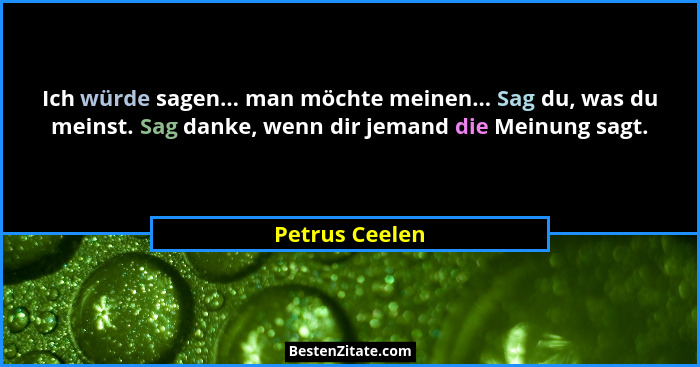 Ich würde sagen... man möchte meinen... Sag du, was du meinst. Sag danke, wenn dir jemand die Meinung sagt.... - Petrus Ceelen