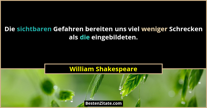 Die sichtbaren Gefahren bereiten uns viel weniger Schrecken als die eingebildeten.... - William Shakespeare