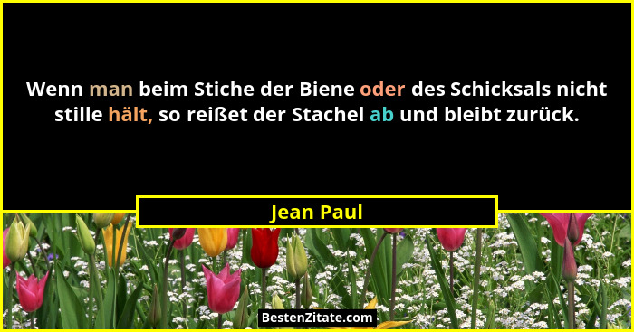 Wenn man beim Stiche der Biene oder des Schicksals nicht stille hält, so reißet der Stachel ab und bleibt zurück.... - Jean Paul