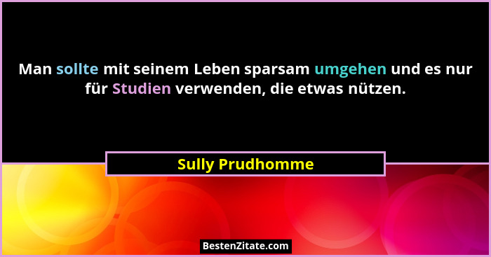 Man sollte mit seinem Leben sparsam umgehen und es nur für Studien verwenden, die etwas nützen.... - Sully Prudhomme