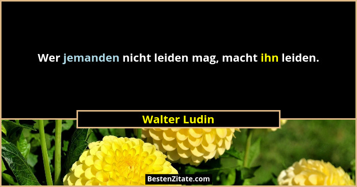 Wer jemanden nicht leiden mag, macht ihn leiden.... - Walter Ludin
