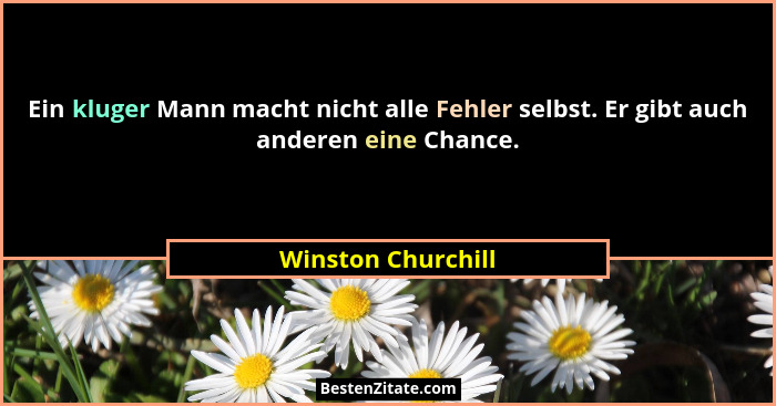Ein kluger Mann macht nicht alle Fehler selbst. Er gibt auch anderen eine Chance.... - Winston Churchill