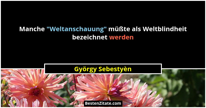 Manche "Weltanschauung" müßte als Weltblindheit bezeichnet werden... - György Sebestyèn