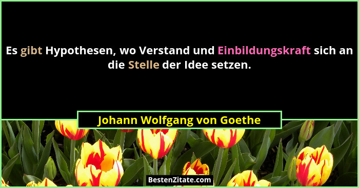 Es gibt Hypothesen, wo Verstand und Einbildungskraft sich an die Stelle der Idee setzen.... - Johann Wolfgang von Goethe