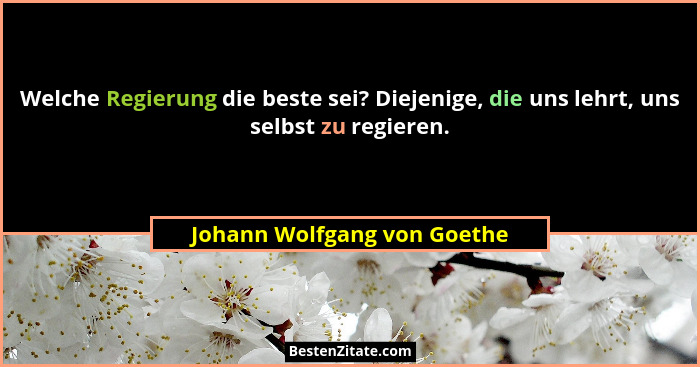 Welche Regierung die beste sei? Diejenige, die uns lehrt, uns selbst zu regieren.... - Johann Wolfgang von Goethe