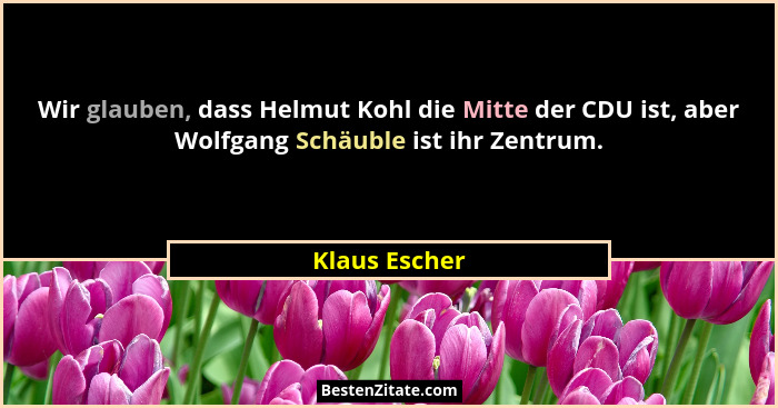 Wir glauben, dass Helmut Kohl die Mitte der CDU ist, aber Wolfgang Schäuble ist ihr Zentrum.... - Klaus Escher