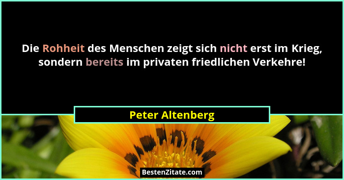 Die Rohheit des Menschen zeigt sich nicht erst im Krieg, sondern bereits im privaten friedlichen Verkehre!... - Peter Altenberg