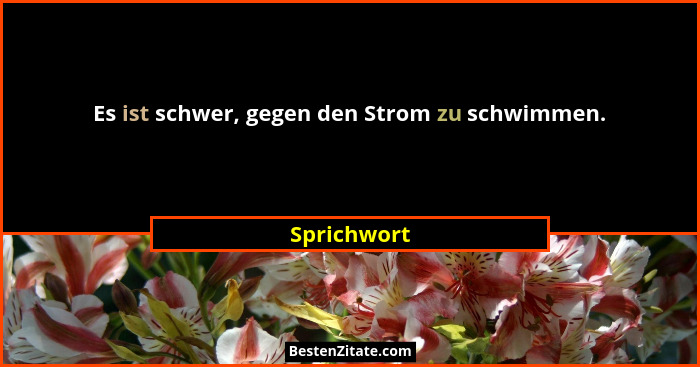 Es ist schwer, gegen den Strom zu schwimmen.... - Sprichwort