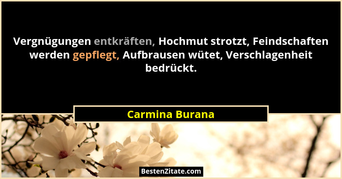 Vergnügungen entkräften, Hochmut strotzt, Feindschaften werden gepflegt, Aufbrausen wütet, Verschlagenheit bedrückt.... - Carmina Burana