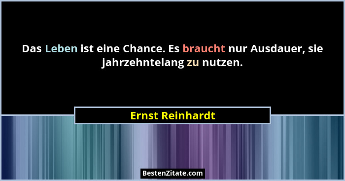 Das Leben ist eine Chance. Es braucht nur Ausdauer, sie jahrzehntelang zu nutzen.... - Ernst Reinhardt
