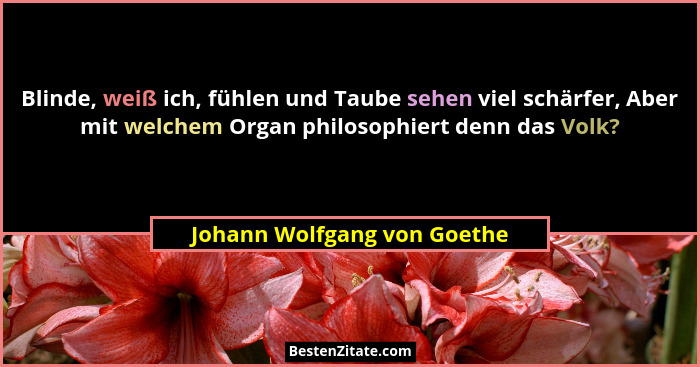 Blinde, weiß ich, fühlen und Taube sehen viel schärfer, Aber mit welchem Organ philosophiert denn das Volk?... - Johann Wolfgang von Goethe