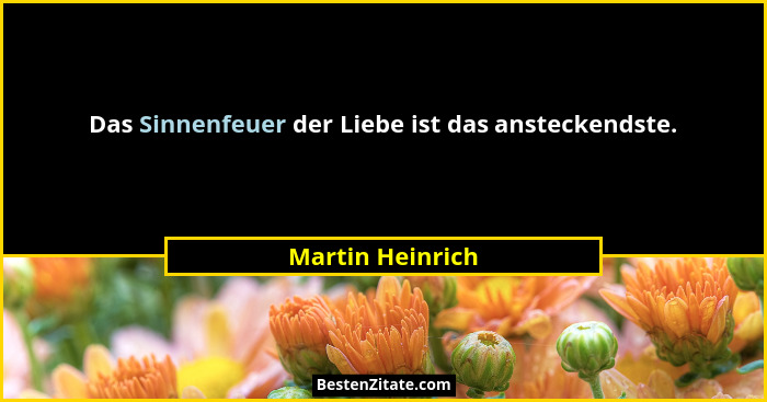 Das Sinnenfeuer der Liebe ist das ansteckendste.... - Martin Heinrich