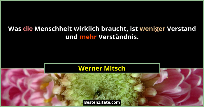 Was die Menschheit wirklich braucht, ist weniger Verstand und mehr Verständnis.... - Werner Mitsch