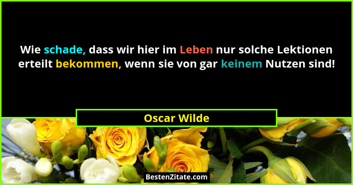 Wie schade, dass wir hier im Leben nur solche Lektionen erteilt bekommen, wenn sie von gar keinem Nutzen sind!... - Oscar Wilde