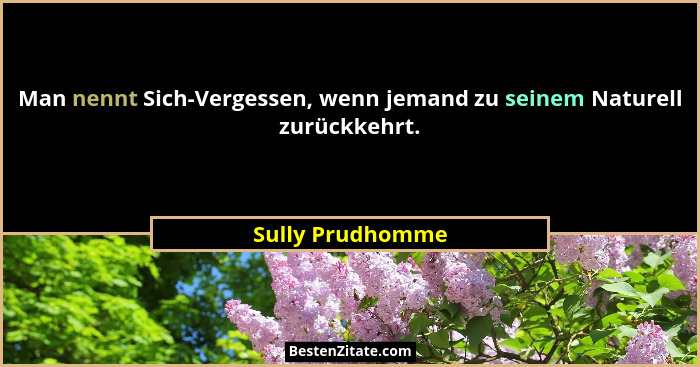 Man nennt Sich-Vergessen, wenn jemand zu seinem Naturell zurückkehrt.... - Sully Prudhomme