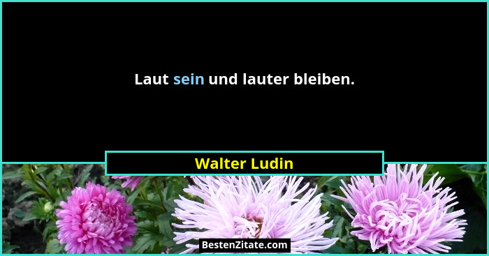 Laut sein und lauter bleiben.... - Walter Ludin