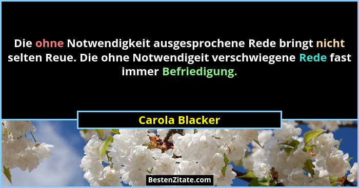 Die ohne Notwendigkeit ausgesprochene Rede bringt nicht selten Reue. Die ohne Notwendigeit verschwiegene Rede fast immer Befriedigung... - Carola Blacker