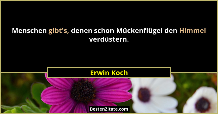 Menschen gibt's, denen schon Mückenflügel den Himmel verdüstern.... - Erwin Koch