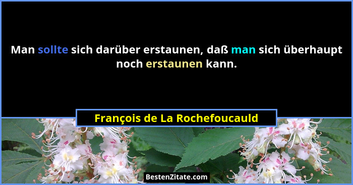 Man sollte sich darüber erstaunen, daß man sich überhaupt noch erstaunen kann.... - François de La Rochefoucauld