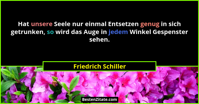 Hat unsere Seele nur einmal Entsetzen genug in sich getrunken, so wird das Auge in jedem Winkel Gespenster sehen.... - Friedrich Schiller