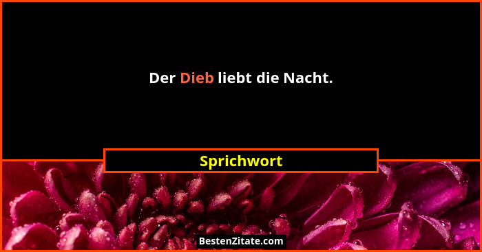 Der Dieb liebt die Nacht.... - Sprichwort
