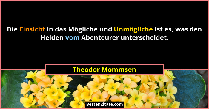 Die Einsicht in das Mögliche und Unmögliche ist es, was den Helden vom Abenteurer unterscheidet.... - Theodor Mommsen